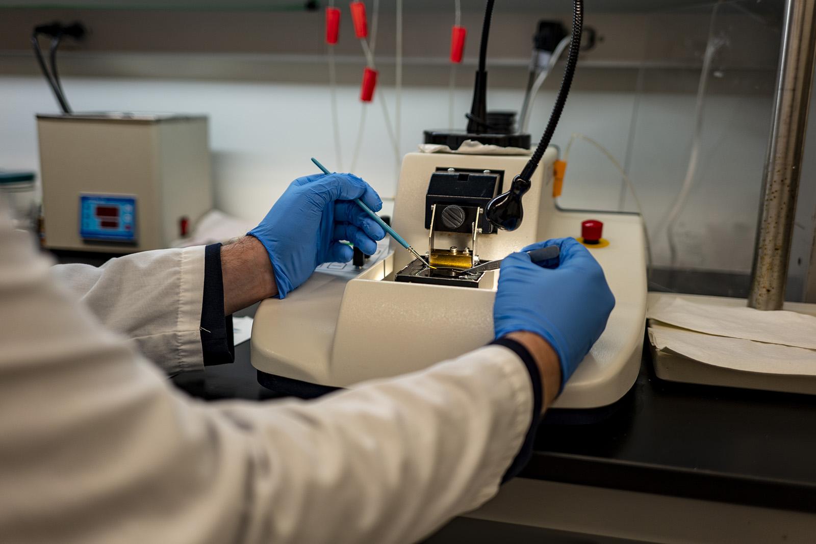 UW Otolarynology-HNS research