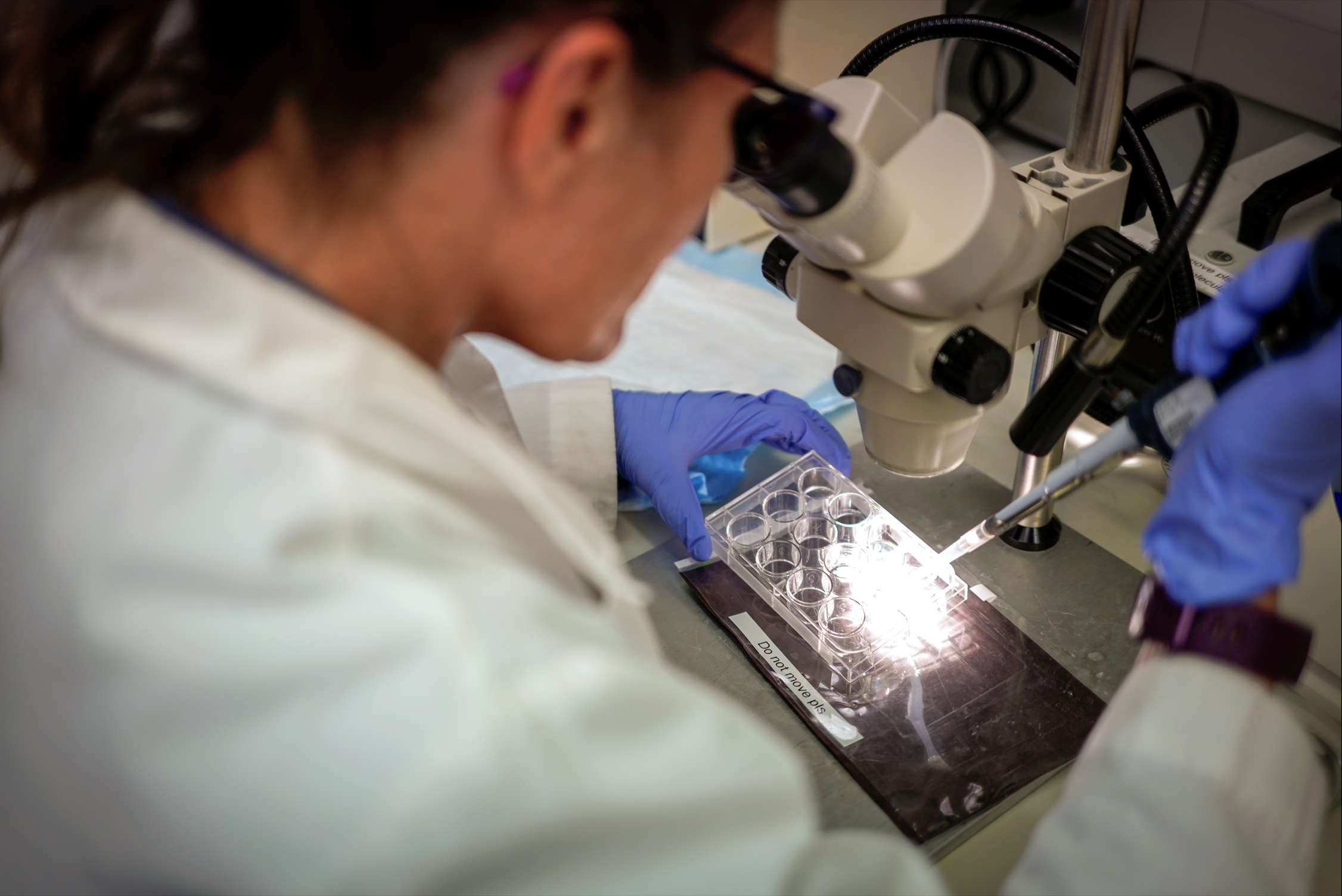 This is the image for Sinus and Skull Base entry