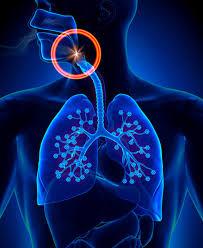 Sleep Surgery Specialty